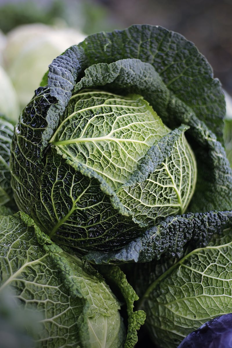 Farm Fresh Produce